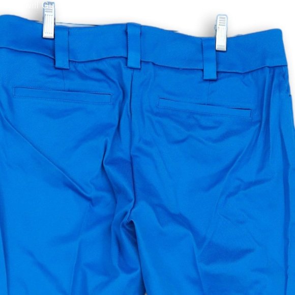 NWT NEW YORK & CO. 7TH AVENUE MODERN FIT STRAIGHT LEG STRETCH CROP PANTS 10 - Picture 4 of 11